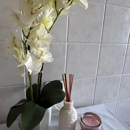 Apartment Alga *