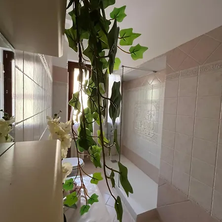 Alga Apartment *