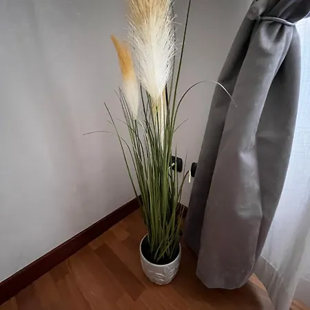 Alga Apartamento *
