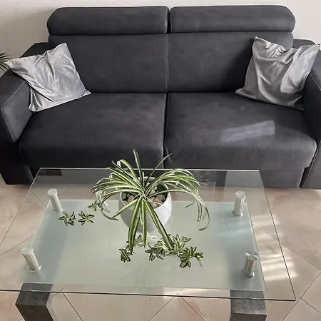 Alga روما