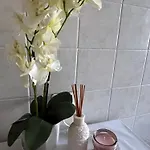 Apartament Alga *