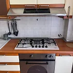 Alga Rzym
